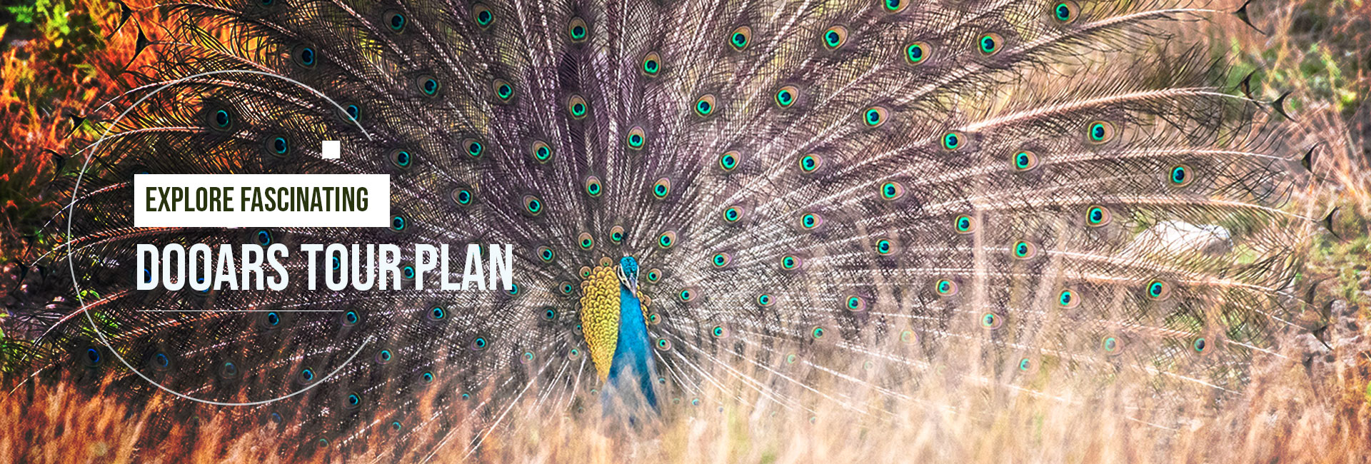 Dooars Tour Plan - Book Budget Tour Packages