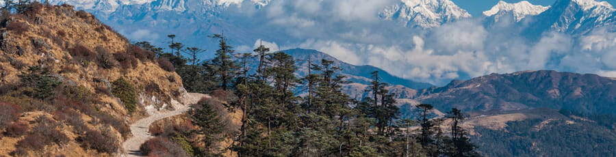 Plan your tour with Sandakphu trek package