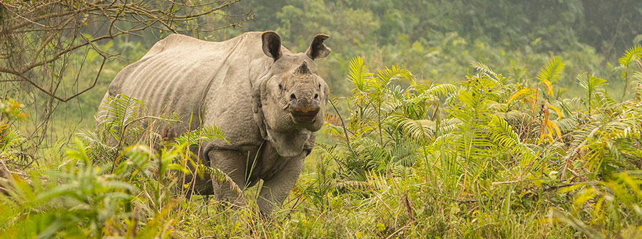 Northeast Tour Package