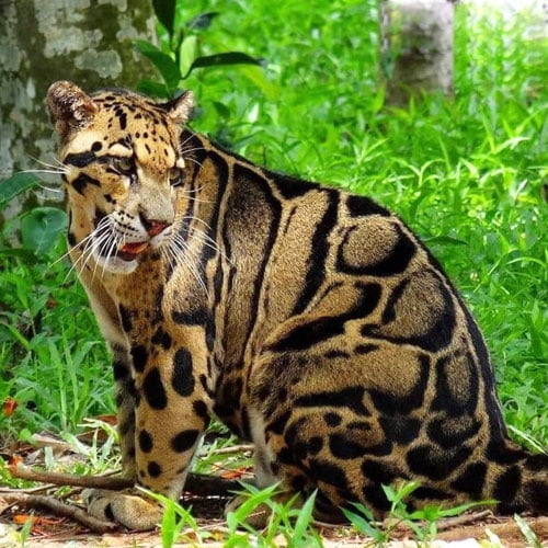 Sipahijola Wildlife Sanctuary