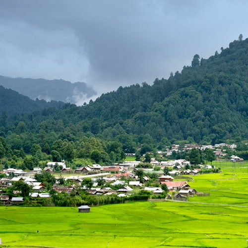 Ziro Valley